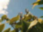 sky_edited.jpg