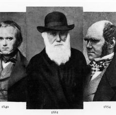 Darwin's Notebooks: See Darwin Think