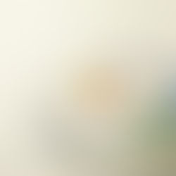 True Story of Nania: How A Baby Elephant Could Be Re-united With Her Mother