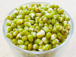 Mung Beans Sprouts