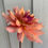 Thumbnail: 'Peanut Brittle' Dahlia Tuber