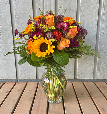 IMG_1171.HEIC