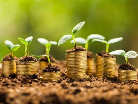 Entreprise durable : Comment rendre votre entreprise plus respectueuse de l'environnement