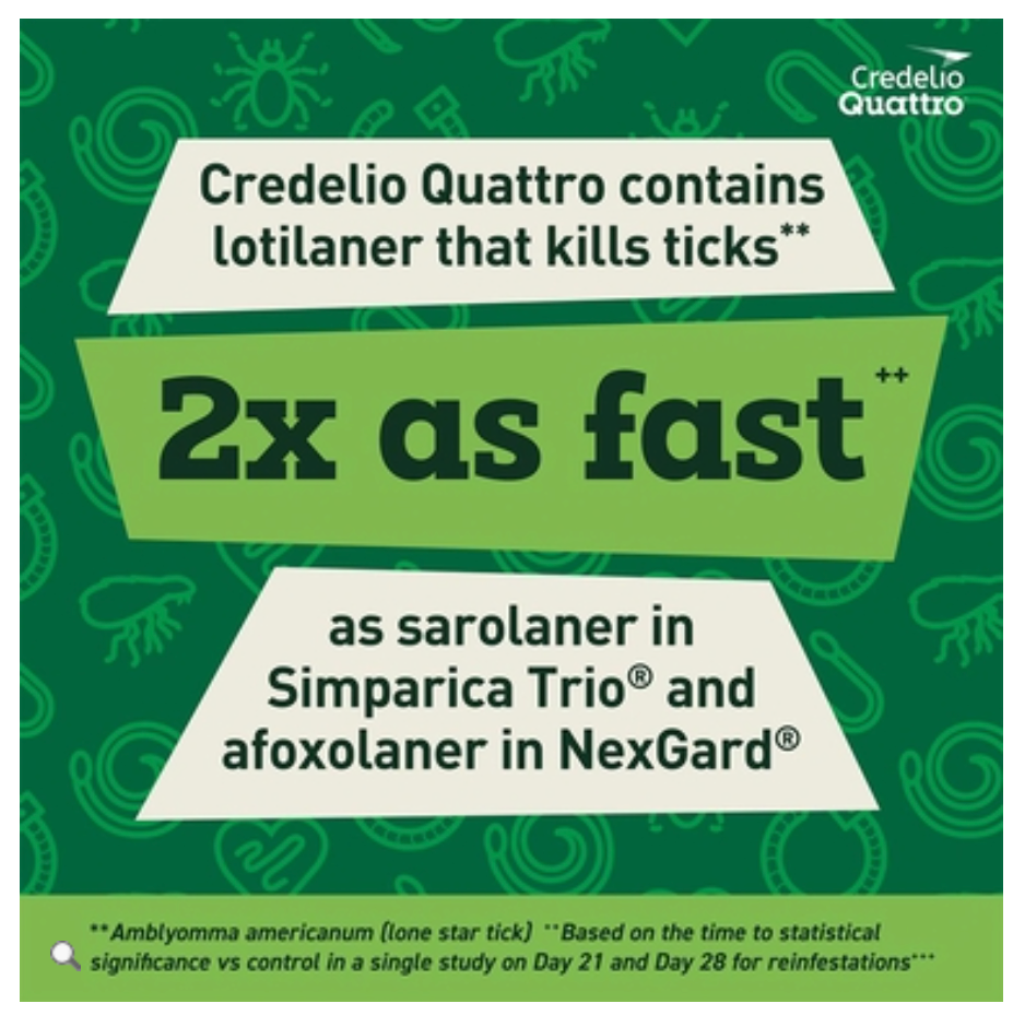 Thumbnail: Credelio Quattro Tablet for Dogs