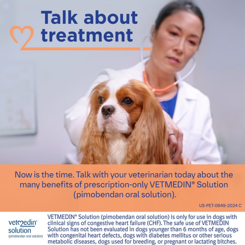 Vetmedin (Pimobendan) Solution for Dogs, 50 mL