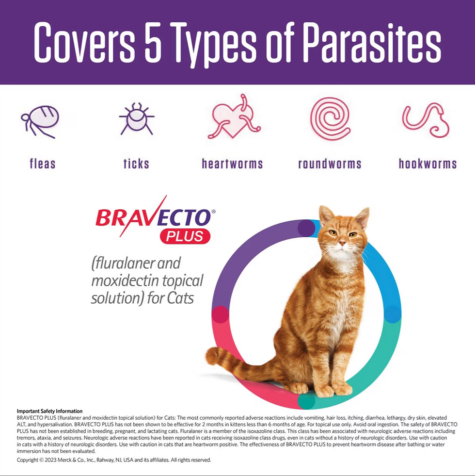 Thumbnail: Bravecto Plus Topical Solution for Cats