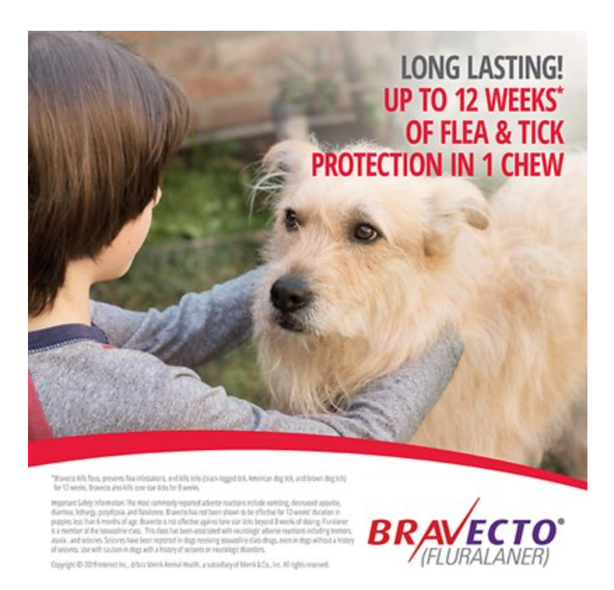 Thumbnail: Bravecto Chew for Dogs