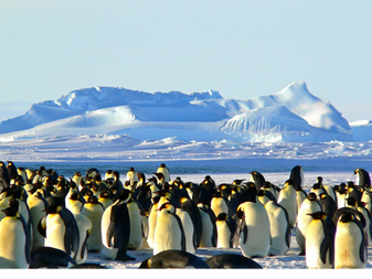 10 Breathtaking Destinations for the Ultimate Adventure Seekers