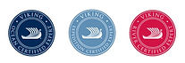 Viking.jpg