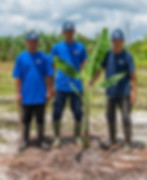 soil-restoration-service-indonesia-35.jpg
