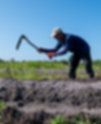 soil-restoration-service-indonesia-14.jpg