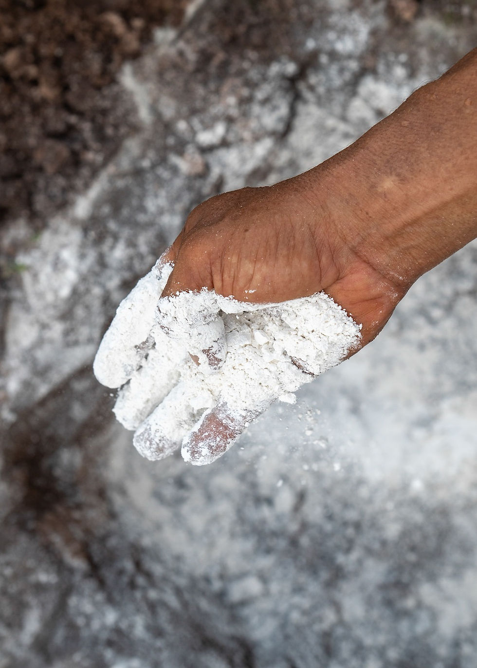 soil-restoration-service-indonesia-33.jpg