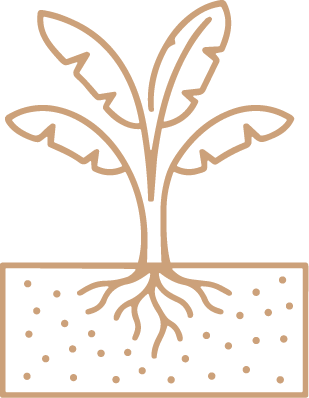 ARTWORK CLAYGOLD 2.png