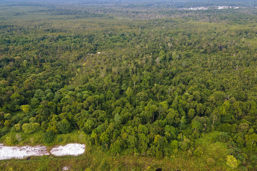 soil-restoration-service-indonesia-51.jpg