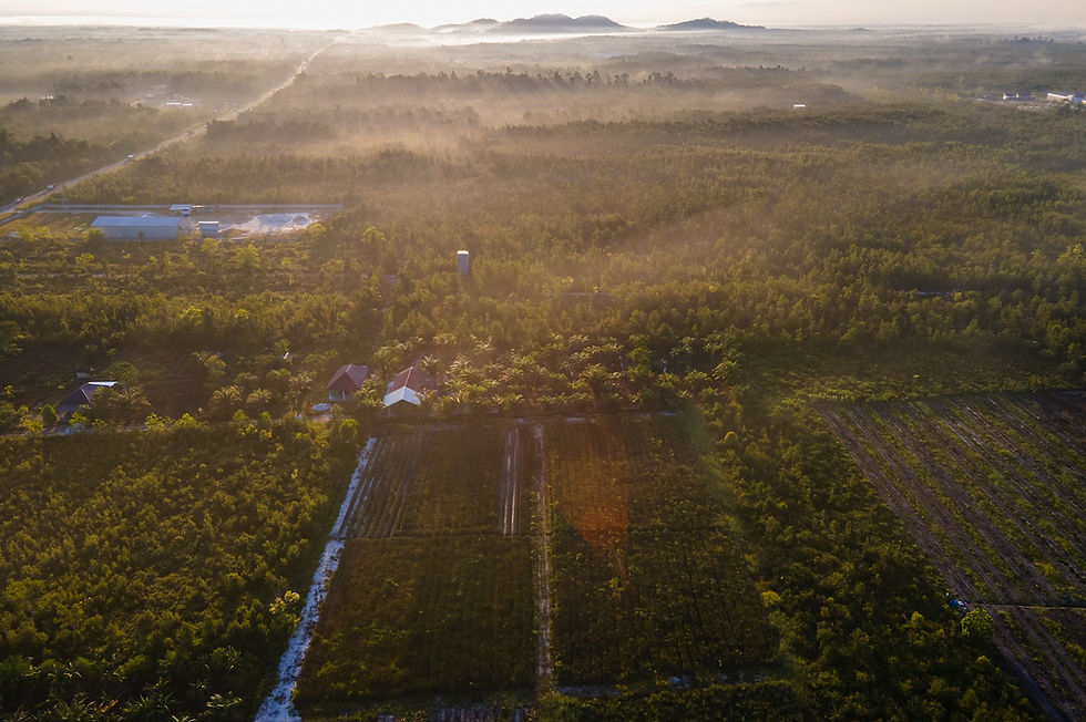 soil-restoration-service-indonesia.jpg