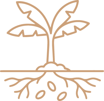 ARTWORK CLAYGOLD 6.png