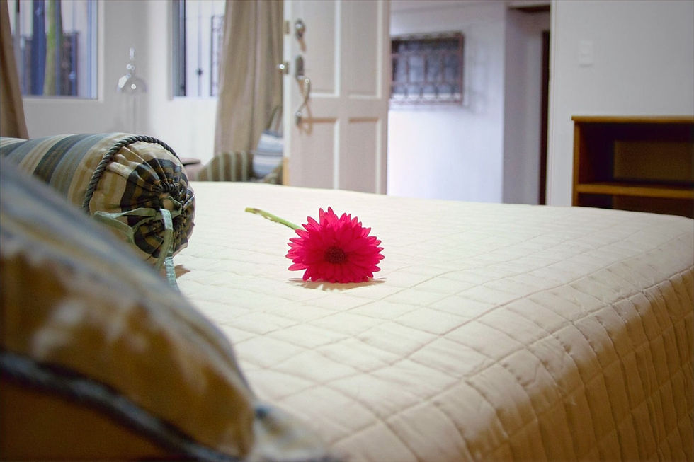 Beds & Flowers