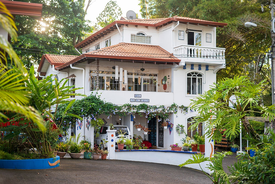 Hotel Facade and tropical plants