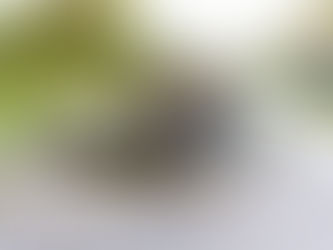 Understanding the Role of a Refinery Accident Lawyer