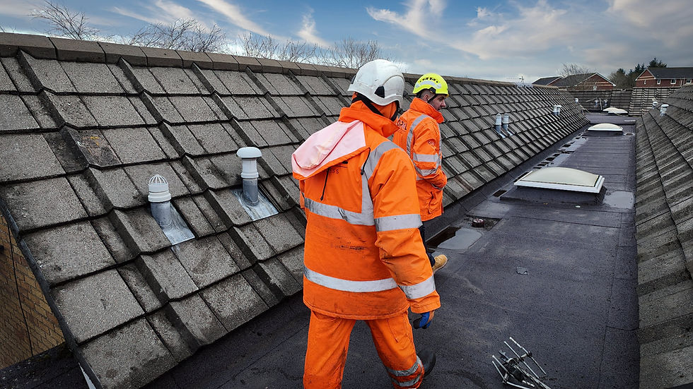 Roof Inspection .jpg