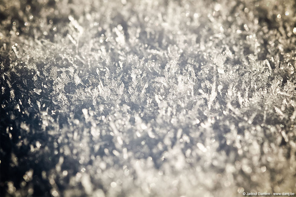 Givre macro