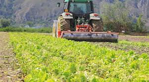 Sostegno per la trasformazione e commercializzazione dei prodotti agricoli - Piemonte