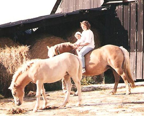 Vielle photo d'une jument et son poulain dans une ferme, avec une femme et son bébé.