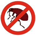 anti%20flea%201%20copy_edited.png