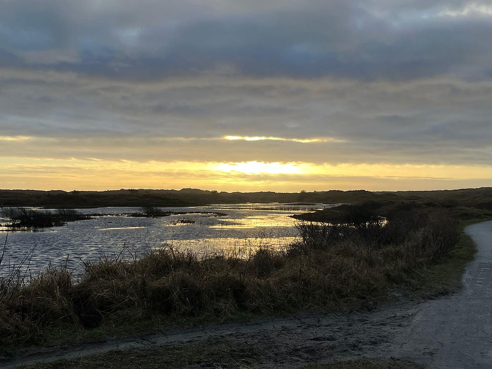 WhatsApp Image 2026-03-02 at 16.28.26 (6).jpeg