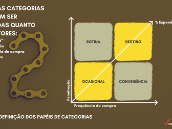 A 2ª etapa do Gerenciamento por Categorias –Definir o Papel da Categoria para loja física ou virtual