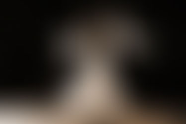 "Son Dansı Bana Sakla"