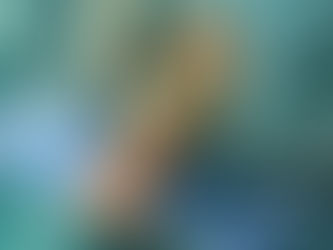 Artroscopia: uma ferramenta importante para o tratamento das lesões do pé e tornozelo.