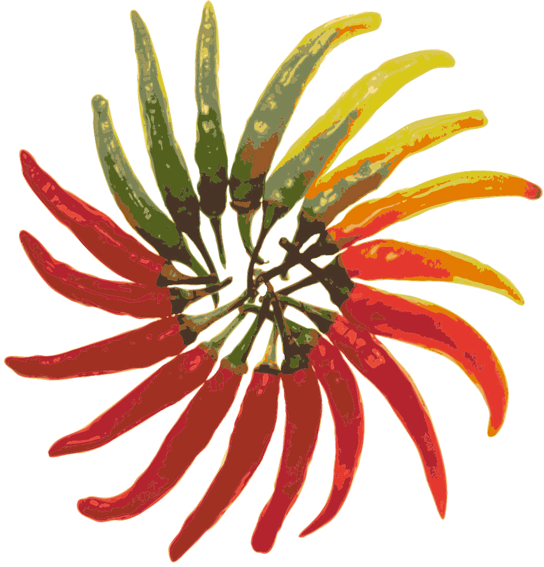 Chili Logo.gif