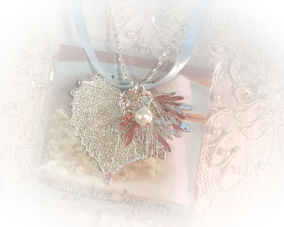 A3519120-83DC-48AC-807C-CBD22E7C0C9F%24L