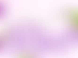 Little Blossoms of Grace: Growing in the Power of Prayer