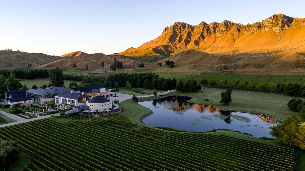 Craggy Range Winery with views of Te Mata Peak