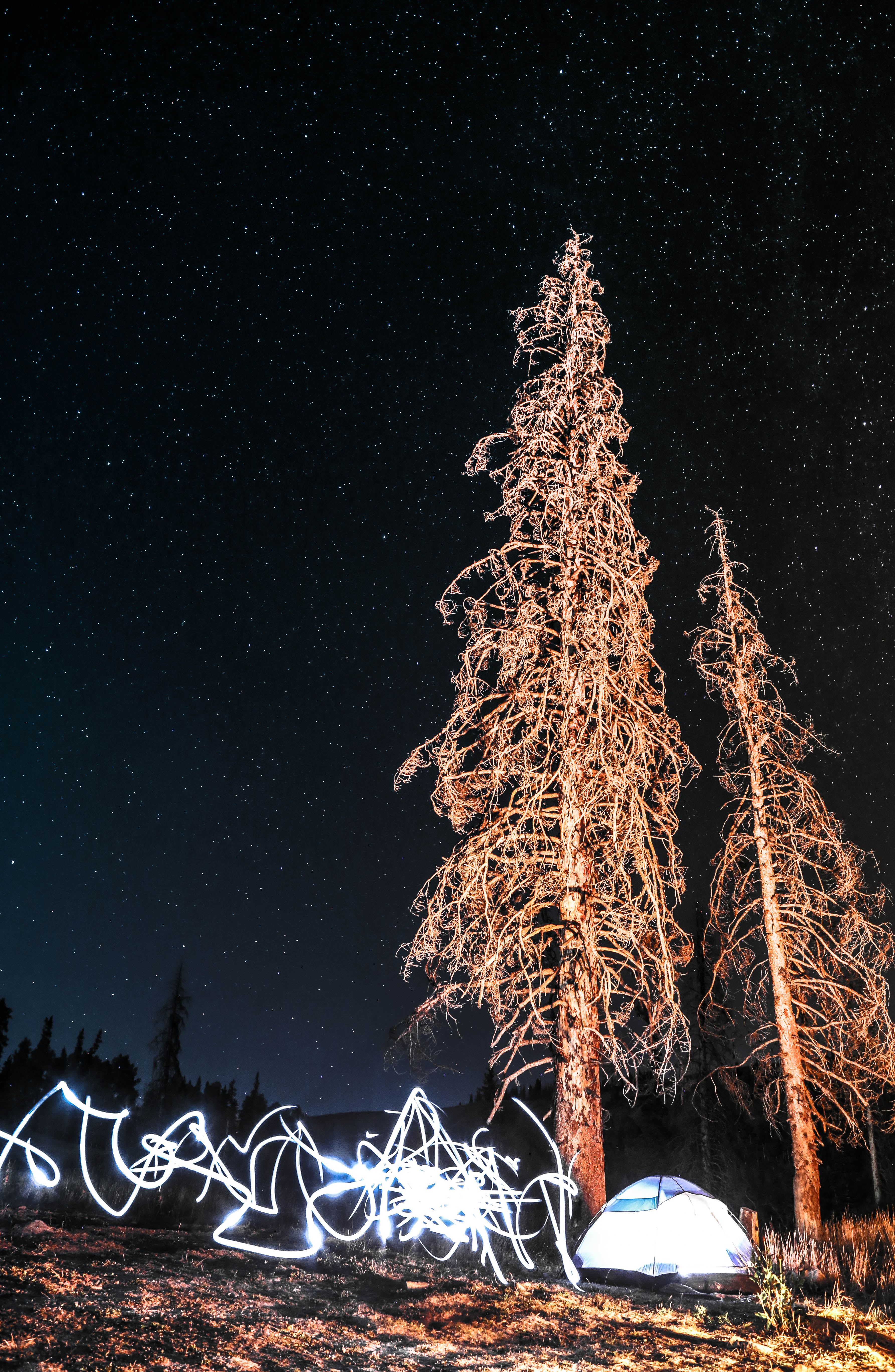 Little Camp Light