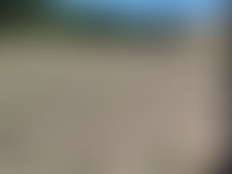 Action Alert! Speak up for climate resilience!