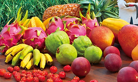 11_Various fruits-main01.jpg