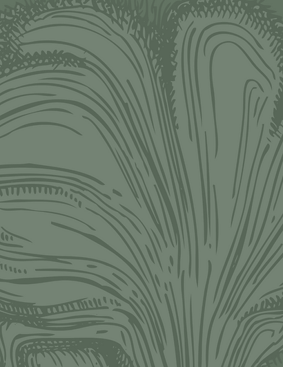 new infographic back.png
