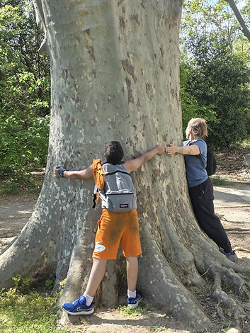 enfant Arbre.jpeg