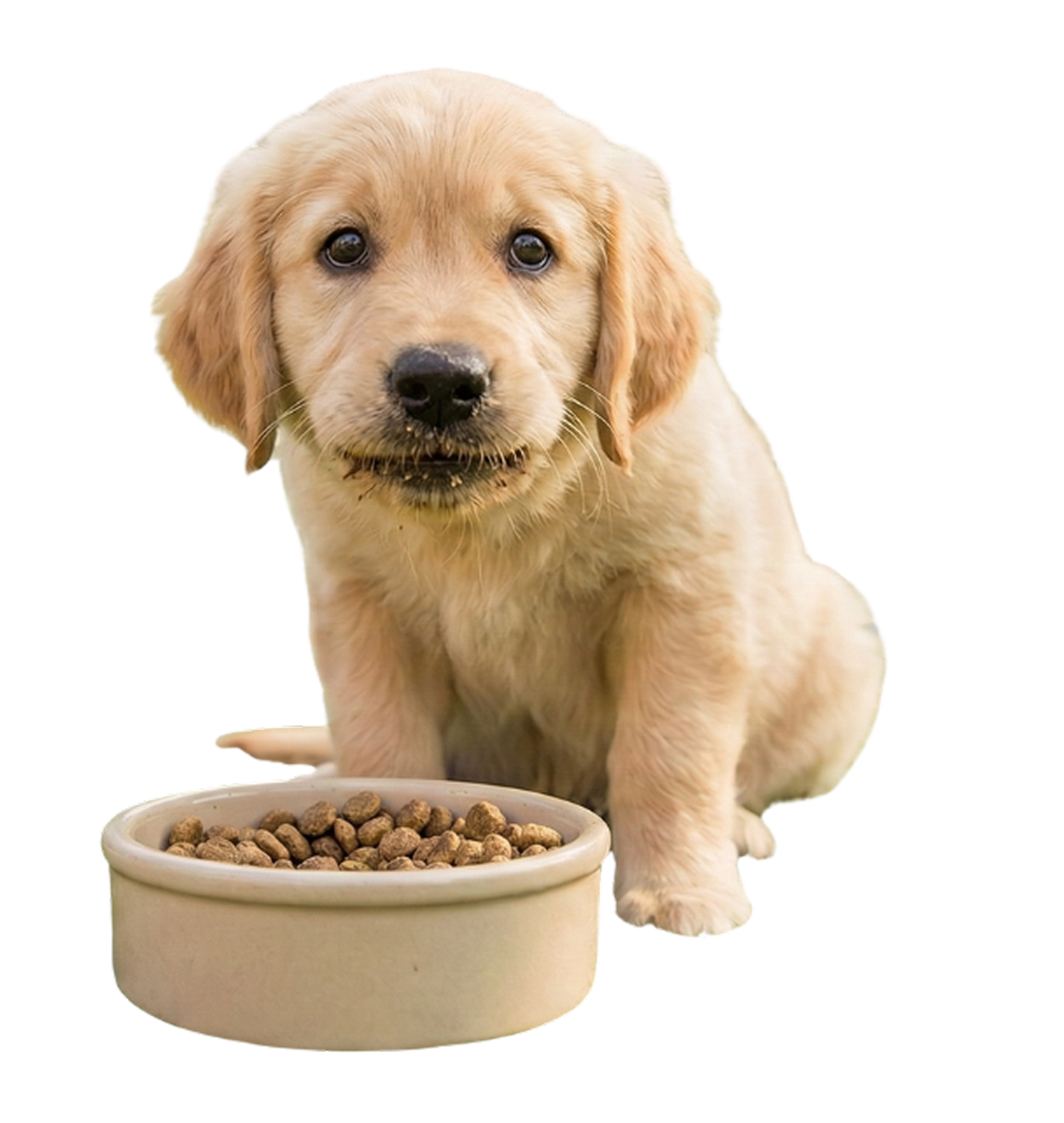 Untitled design (4) 1.png