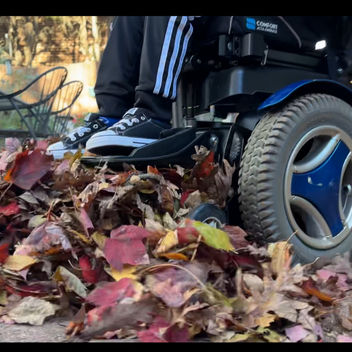 Guely and the Great Leaf Day Learning in the backyard.