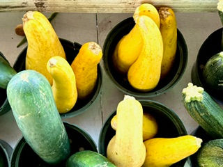 Proposal: Five Mile Radius . . .                                                                                 Or Maybe It Should Be Ten