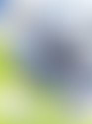 FLYCOPTER PROJECT COMMUNICATION AREA