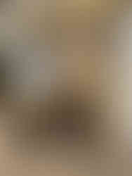 Videografin auf Hochzeitsmesse