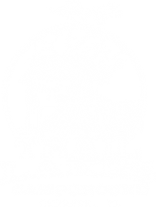 TRAILLAKES_CG2 copy.png