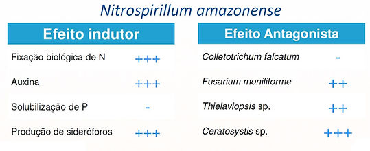 Tabela Efeitos Bacteria (002).jpg