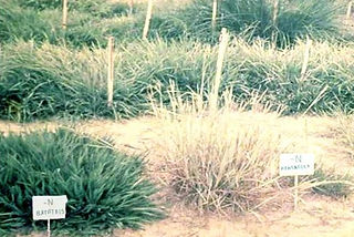 Foto primeira experiencia (002).jpg