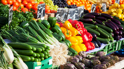 Legumes-Fruits_1